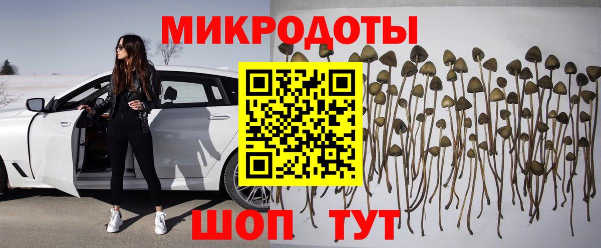 Псилоцибиновые грибы прущие грибы  Псилоцибиновые грибы Psilocybe  Видное  Вход с VPN 